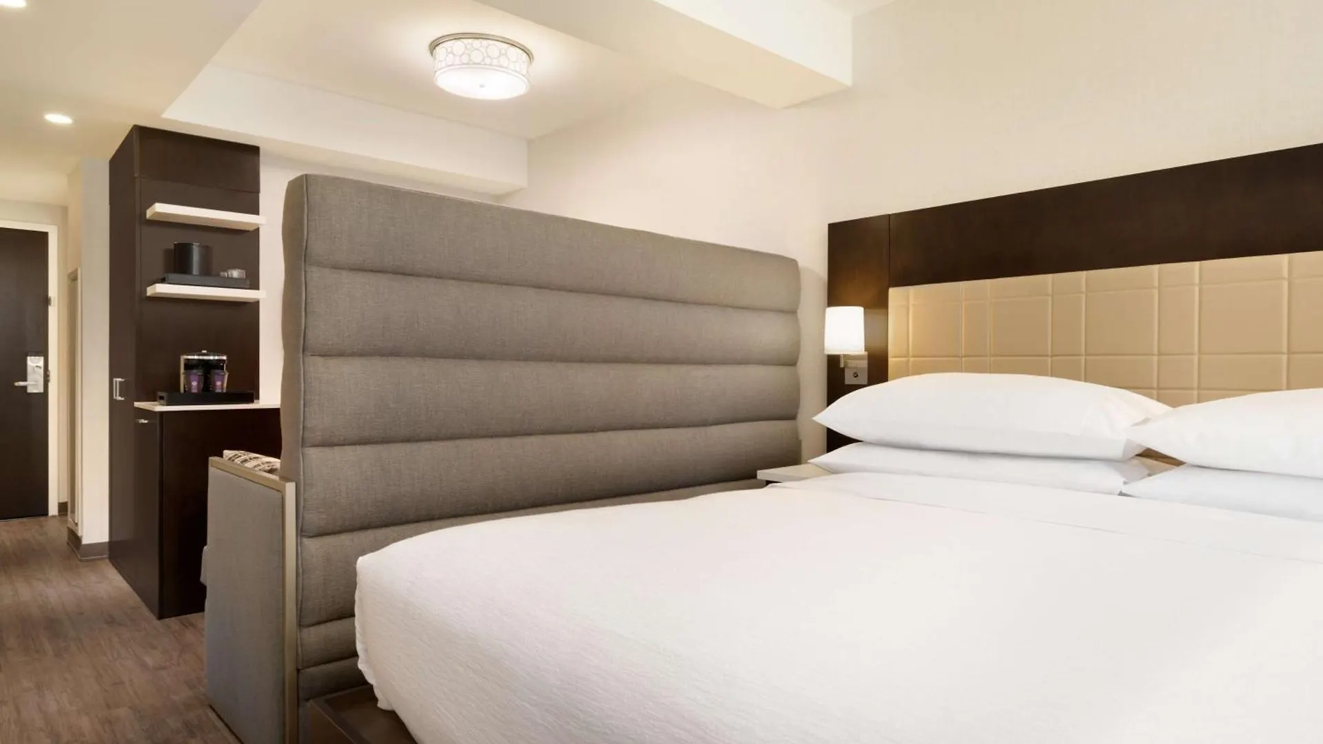 Embassy Suites By Hilton New York Manhattan Times Square Hotel